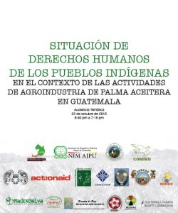 3. Informe Audiencia CIDH - derechos humanos y palma aceitera 2015
